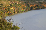 Murray River up from Blanchetown, South Australia