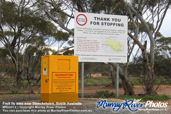 Fruit fly bins near Blanchetown, South Australia