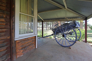 Olivewood, Renmark