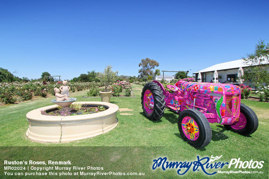 Ruston's Roses, Renmark