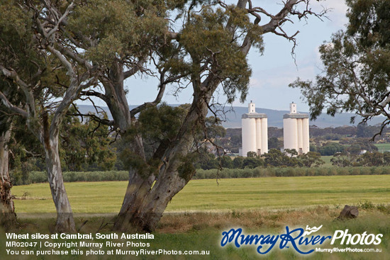 Wheat silos at Cambrai, South Australia