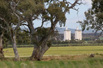 Wheat silos at Cambrai, South Australia