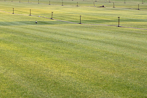 Turf farm at Kongalia near Cambrai