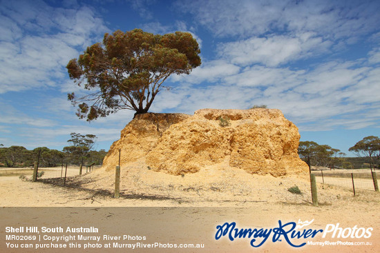 Shell Hill, South Australia