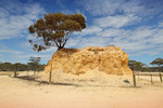 Shell Hill, South Australia