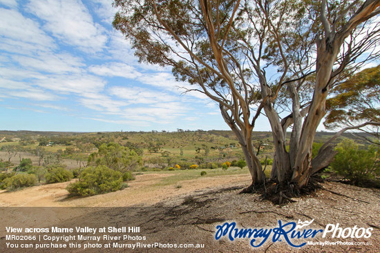 View across Marne Valley at Shell Hill