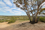 View across Marne Valley at Shell Hill