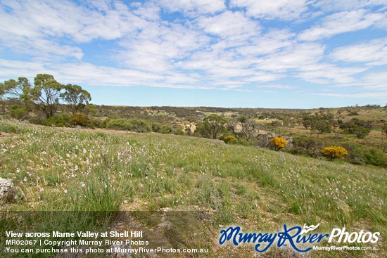 View across Marne Valley at Shell Hill