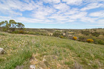 View across Marne Valley at Shell Hill