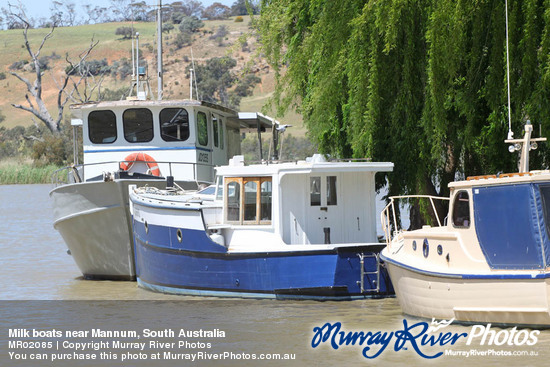 Milk boats near Mannum, South Australia