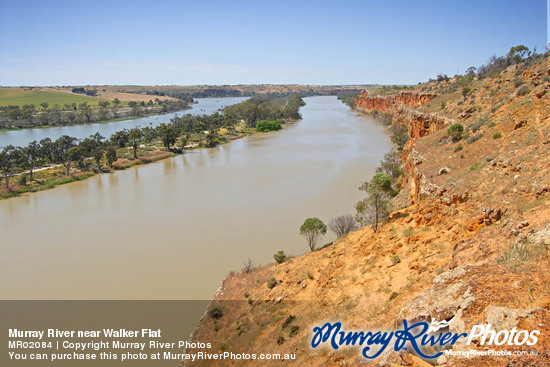 Murray River near Walker Flat