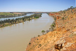 Murray River near Walker Flat