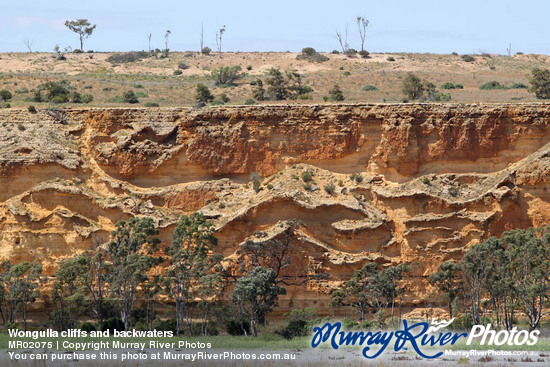 Wongulla cliffs and backwaters