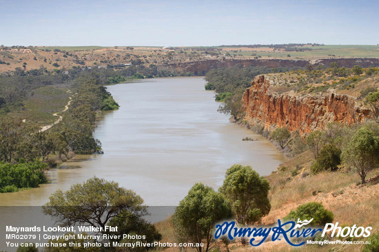 Maynards Lookout, Walker Flat