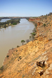 Murray River near Walker Flat