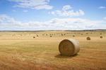 Hay bales near Mannum, South Australia