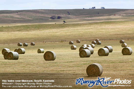 Hay bales near Mannum, South Australia