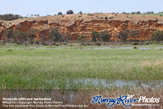 Wongulla cliffs and backwaters