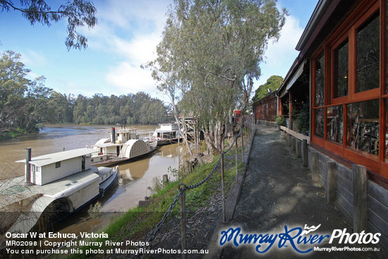 Oscar W at Echuca, Victoria