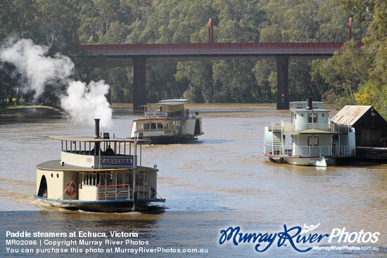 Paddle steamers at Echuca, Victoria