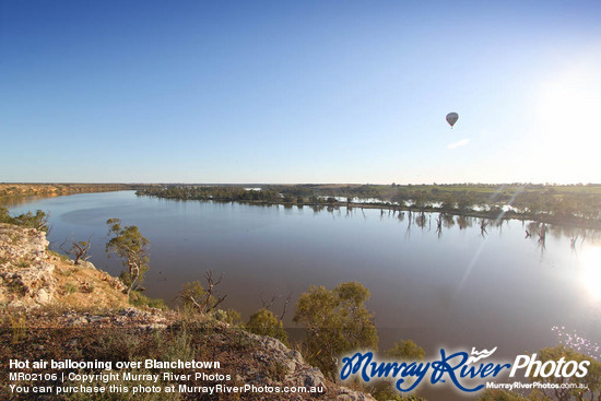 Hot air ballooning over Blanchetown