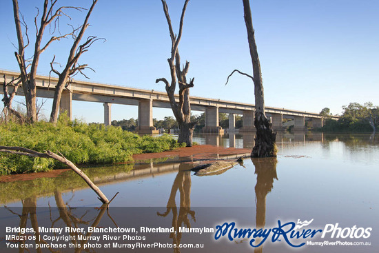 Bridges, Murray River, Blanchetown, Riverland, Murraylands