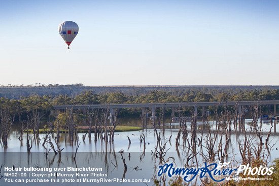 Hot air ballooning over Blanchetown