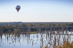 Hot air ballooning over Blanchetown