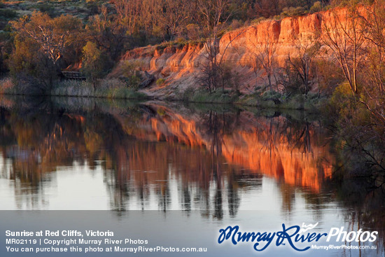 Sunrise at Red Cliffs, Victoria