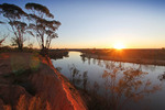 Sunrise at Red Cliffs, Victoria