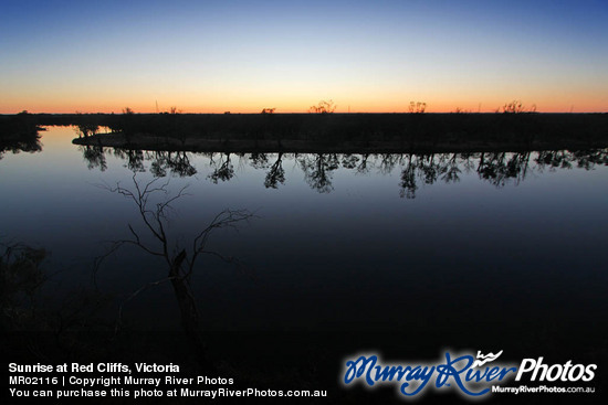 Sunrise at Red Cliffs, Victoria