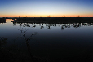 Sunrise at Red Cliffs, Victoria