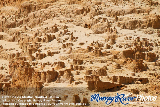 Cliff erosion Murtho, South Australia