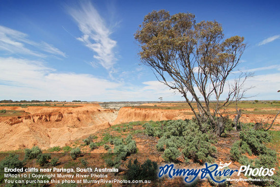 Eroded cliffs near Paringa, South Australia