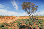 Eroded cliffs near Paringa, South Australia