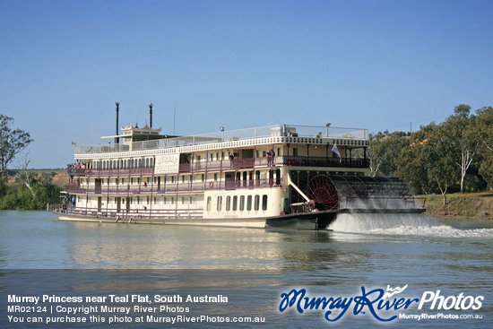 Murray Princess near Teal Flat, South Australia