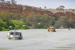 Pelicans cruising past paddle boats, South Australia