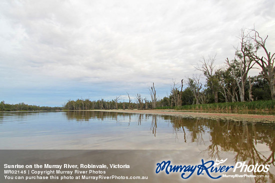 Sunrise on the Murray River, Robinvale, Victoria