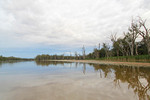 Sunrise on the Murray River, Robinvale, Victoria