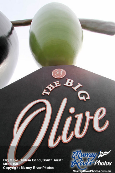 Big Olive, Tailem Bend, South Australia