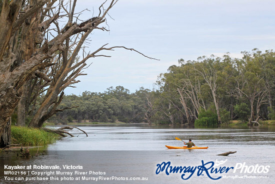 Kayaker at Robinvale, Victoria