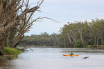 Kayaker at Robinvale, Victoria