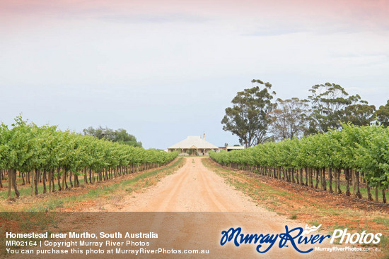 Homestead near Murtho, South Australia