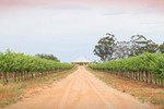 Homestead near Murtho, South Australia