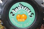 Paradise Gully sign, Murtho, South Australia