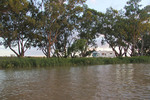 Campervan at Cowirra Park, Mannum