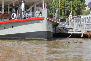 Ducks at Mannum, South Australia