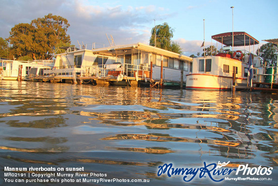 Mannum riverboats on sunset