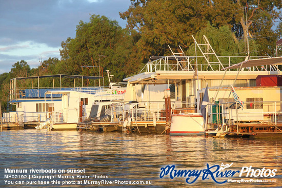 Mannum riverboats on sunset