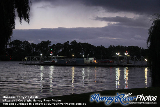 Mannum Ferry on dusk